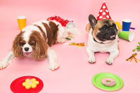 Dogs Birthday Party Jigsaw Puzzle