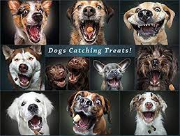 Dogs Catching The Perfect Treat Jigsaw Puzzle