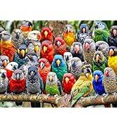 Desenhos de Feathered Friends Fiesta Jigsaw Puzzle para colorir
