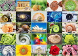 Desenhos de Fibonacci Spirals in Life Jigsaw Puzzle para colorir
