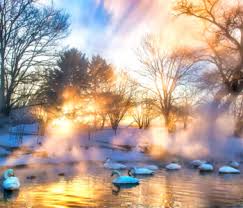 Desenhos de Flock of Swans Jigsaw Puzzle para colorir