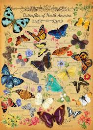 Flowers and Butterflies Jigsaw Puzzle