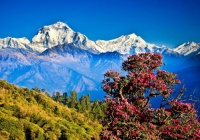 Desenhos de Ghorepani Poon Hill, Nepal Jigsaw Puzzle para colorir