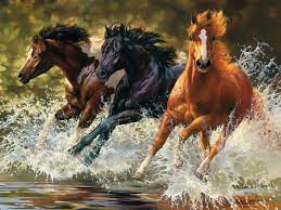 Horses – Splash Jigsaw Puzzle