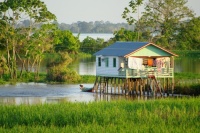 House in the Amazon Rainforest Jigsaw Puzzle