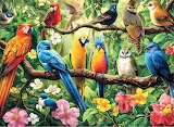 Desenhos de Jungle Birds and Flower Jigsaw Puzzle para colorir
