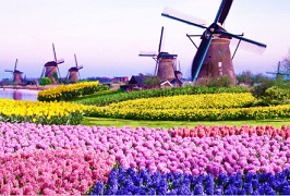 Kinderdijk Windmills Jigsaw Puzzle