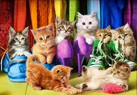 Kittens in the Closet Jigsaw Puzzle