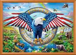 Desenhos de Liberty Falls Jigsaw Puzzle para colorir