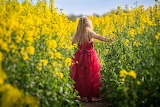 Little Girl in a Rapeseed Field Jigsaw Puzzle