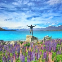 Lupin Flowers by a Lake Jigsaw Puzzle