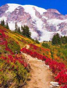 Desenhos de Mount Rainier Hike Jigsaw Puzzle para colorir
