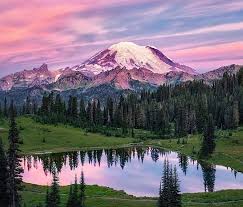 Mount Rainier National Park Jigsaw Puzzle