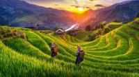 Mu Cang Chai, Yen Bai, Vietnam Jigsaw Puzzle