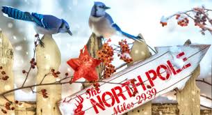 Desenhos de North Pole This Way Jigsaw Puzzle para colorir