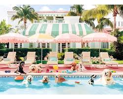 Desenhos de Puppy Swimming Pool Jigsaw Puzzle para colorir