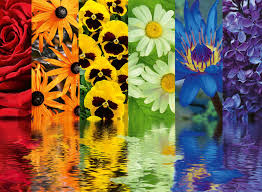 Rainbow Floral Jigsaw Puzzle