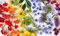 Rainbow Flower Arrangement Jigsaw Puzzle