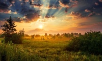 Scenery At Dawn Jigsaw Puzzle