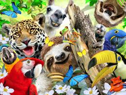 Selfies – Sloth and Friends Jigsaw Puzzle