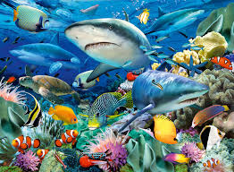 Shark Reef Jigsaw Puzzle