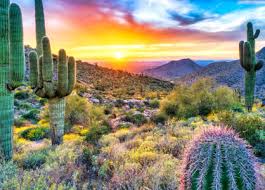 Desenhos de Sonoran Desert Jigsaw Puzzle para colorir