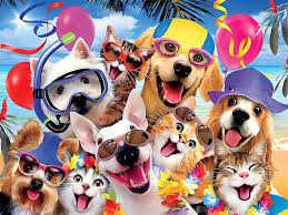 Summer Vacation of Pets Jigsaw Puzzle