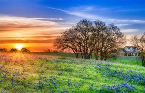 Texas Sunrise Jigsaw Puzzle