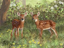 Desenhos de Twin Whitetail Fawns Jigsaw Puzzle para colorir