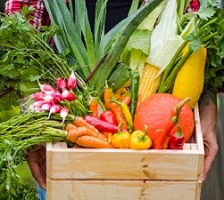 Veggie Crate Jigsaw Puzzle