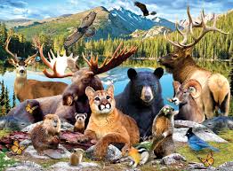 Desenhos de Wildlife of Rocky Mountains National Park Jigsaw Puzzle para colorir