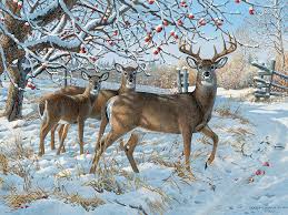 Desenhos de Winter Deer Jigsaw Puzzle para colorir