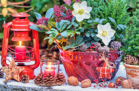 Desenhos de Winter Garden Glow Jigsaw Puzzle para colorir