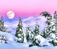 Desenhos de Winter Moonrise Jigsaw Puzzle para colorir